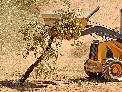 Brush Chipping, Detroit, Michigan, MI