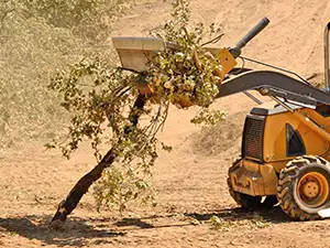 Brush Chipping, Detroit, Michigan, MI