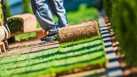 Turf-Management-Fontenot-Landscaping-Services-Metro-Detroit-MI-Gallery Turf-Management-Fontenot-Landscaping-Services-Metro-Detroit-MI-Gallery