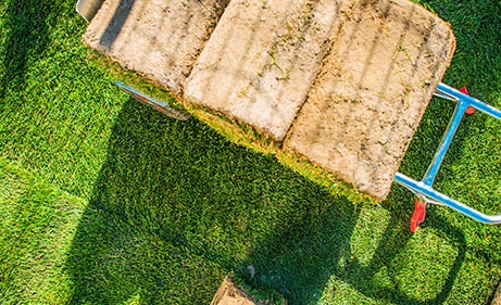 Turf-Management-Fontenot-Landscaping-Services-Metro-Detroit-MI-Gallery Turf-Management-Fontenot-Landscaping-Services-Metro-Detroit-MI-Gallery